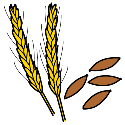 Pictograma dunhas espigas de trigo. Aluden á produtividade dun campo.