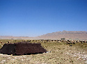 Imaxe dunha tenda de pastores nómades.