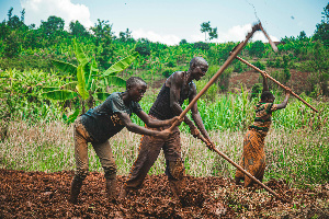 Imaxe da agricultura extensiva de secaño tradicional de África