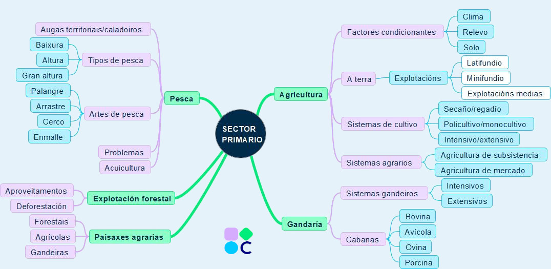 Mapa conceptual actividades do sector primario