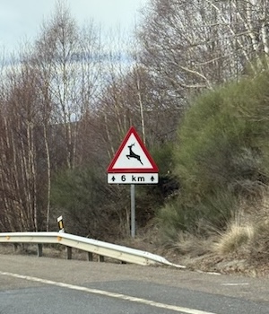señal de animales salvajes en la carretera
