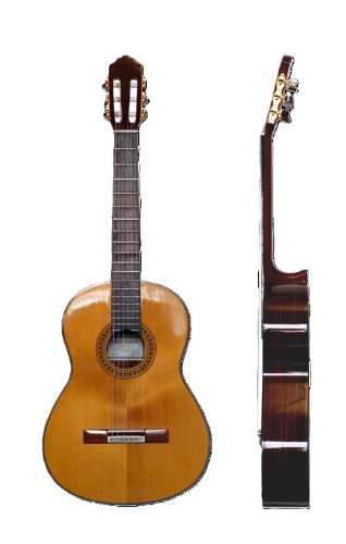 Guitarra