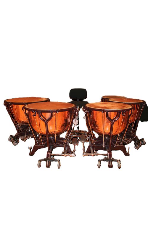 Timbal