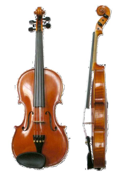 Violín
