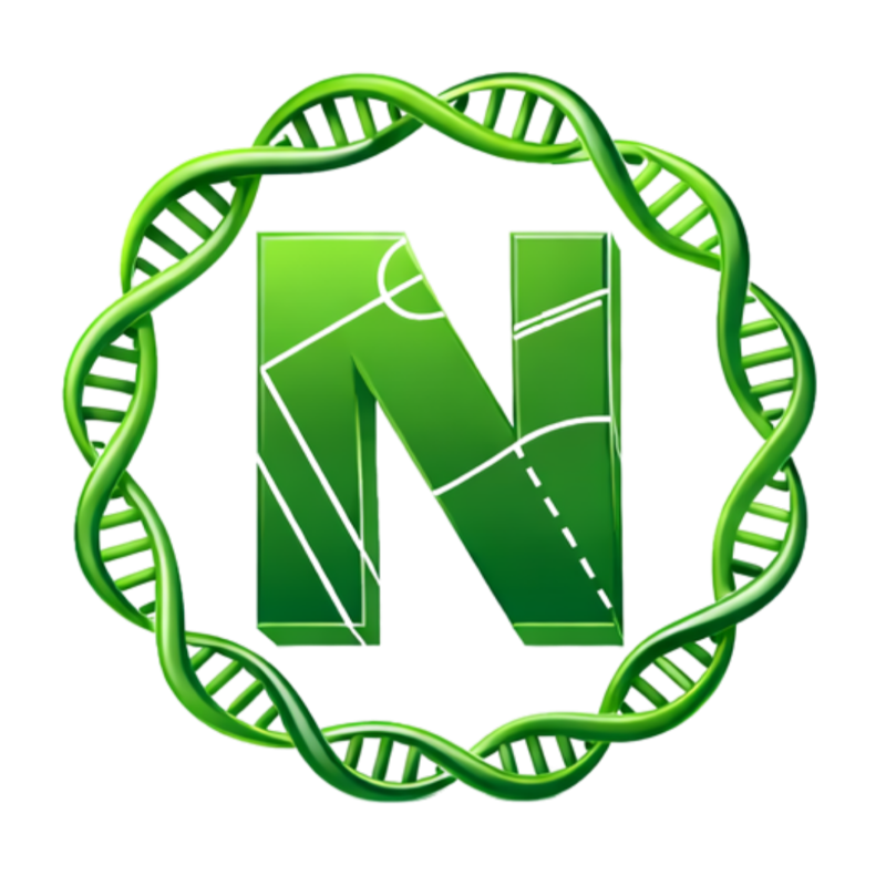 N de normas