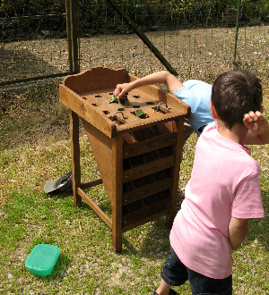Niños revisando la mesa del juego de la rana.