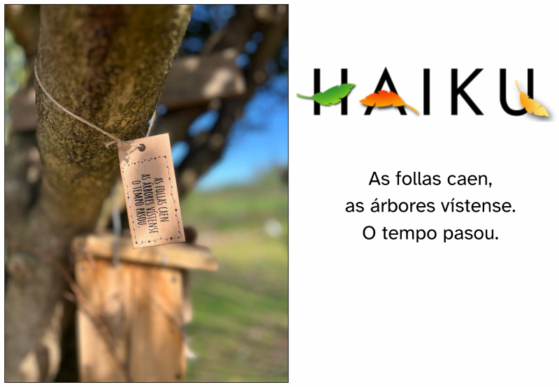 As follas caen. As árbores vístense. O tempo pasou.