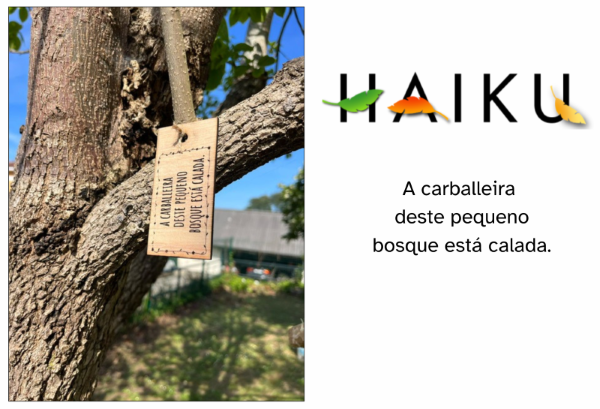 A carballeira deste pequeno bosque está calada.