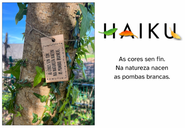 As cores sen fin. Na natureza nacen as pombas brancas.