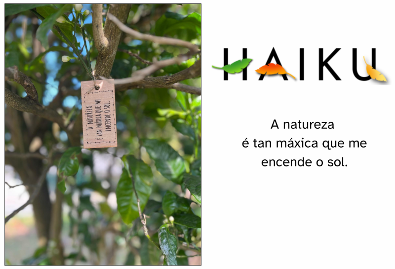 A natureza é tan máxica que me encende o sol.