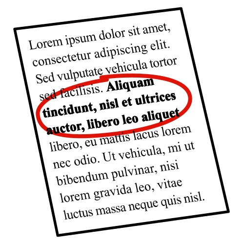Texto resaltando un anaco en letra grosa