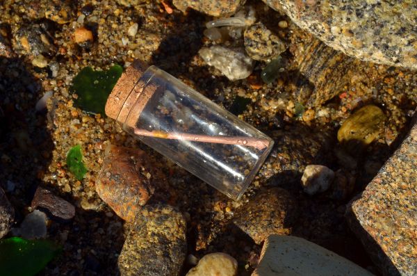 Bote cilíndrico con un rollo de papel dentro. El rollo ocupa toda la diagonal del cilindro. El bote está sobre la arena y las piedras de una playa.