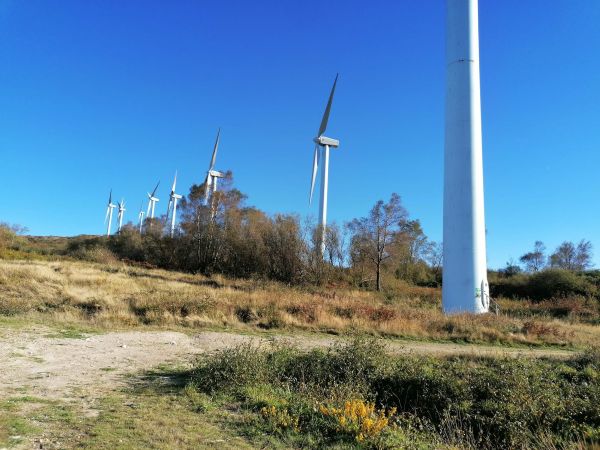 Eólicos en Galicia. (cREAgal) Conjunto de aerogeneradores colocados en fila en un monte.