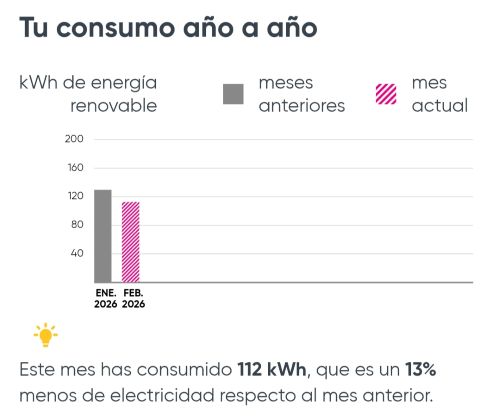 Detalle de factura de la luz con consumo mensual.