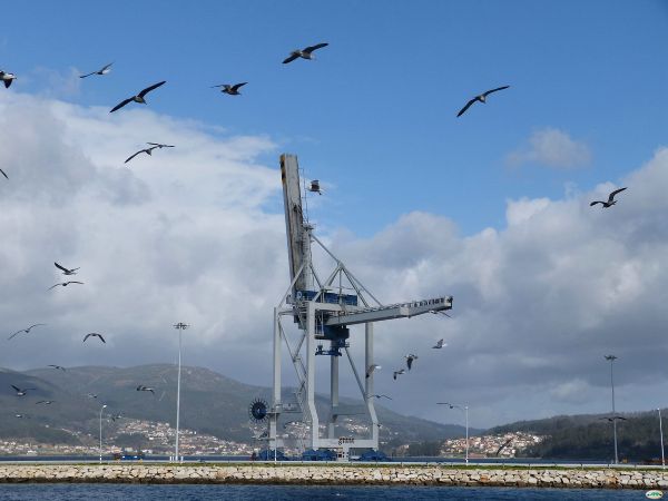 Imagen de una grúa en el puerto de Marín.