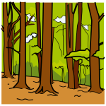 Bosque. Moitas árbores xuntas.
