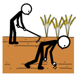 Dúas persoas cultivando a terra.