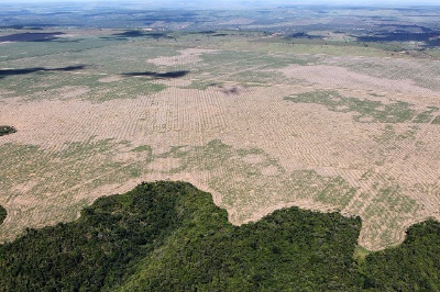 Imaxe aérea onde se ve unha ampla extensión do Amazonas sen ningunha árbore