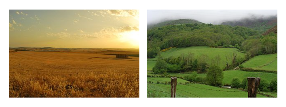 Duas paisaxes unha amarela e seca e outra verde e húmida.