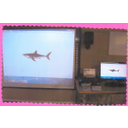 Busca de información en internet