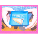 Cápsulas e dentes de tiburón