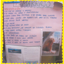 Panel do tiburón marraxo