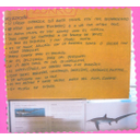 Panel do tiburón raposo