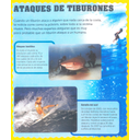 Perigosidade do tiburón