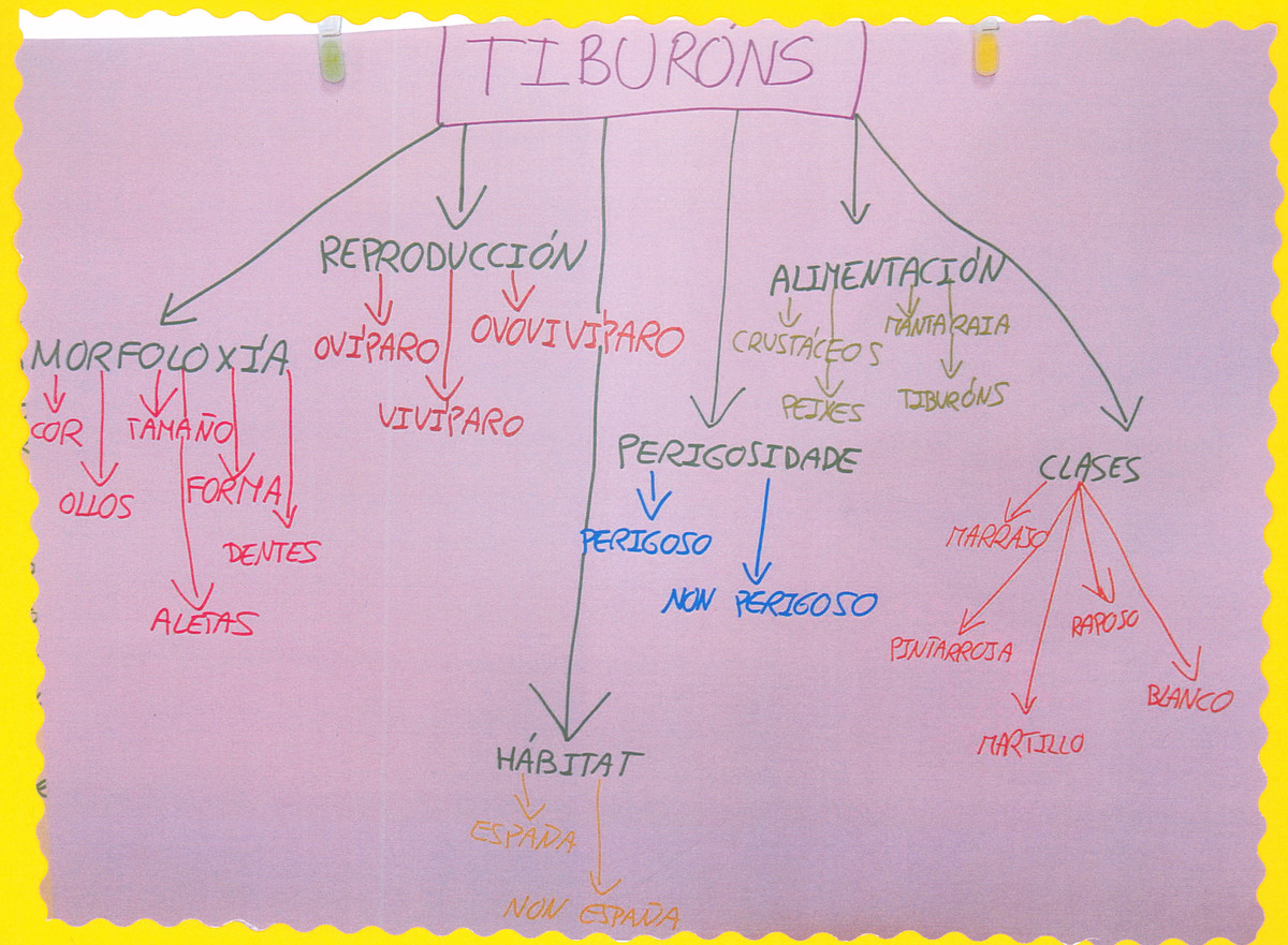 Mapa conceptual