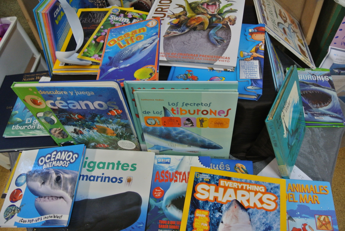 Organización da información