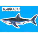 Este libro recolle a información recopilada no panel do tiburón marraxo. É unha combinación de fotografías, debuxos do alumnado, texto impreso e texto elaborado polo alumnado. As escrituras foron no procesador de textos para facilitar a súa lexibilidade e consulta.