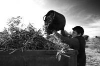 Miniatura do recurso