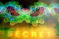 Representación da molécula de ADN