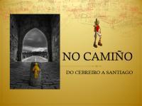 No camiño. Do Cebreiro a Santiago.