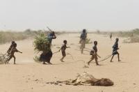 Familia África Deserto cadáver