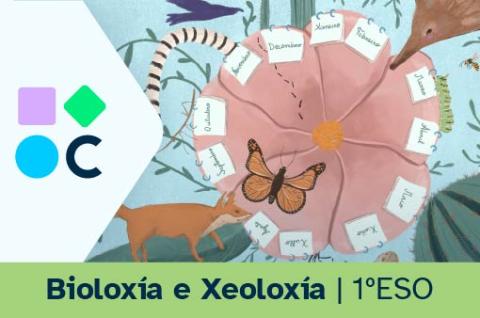 Imaxe do REA03  de Bioloxía e Xeoloxía de 1º de ESO.