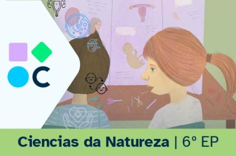 Portada do REA3 para a área de Ciencias da Natureza de 6º de Educación Primaria