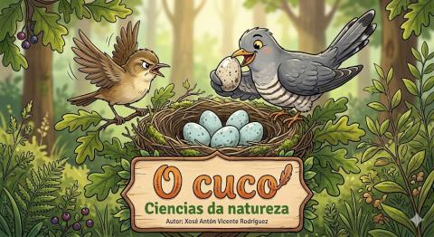 Portada recurso