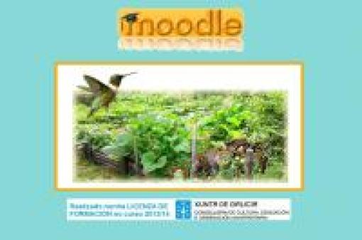 Análisis y comprensión de textos