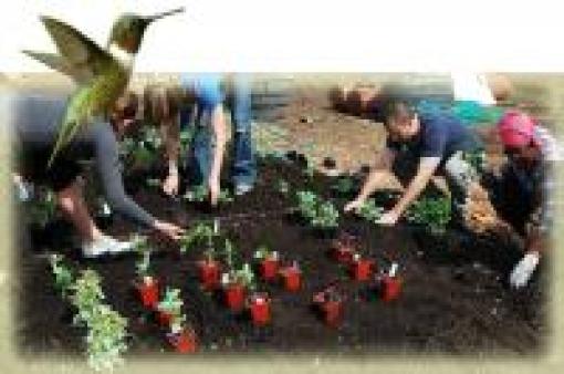 Diseño y construcción de una huerta