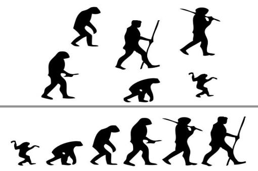 Evolución