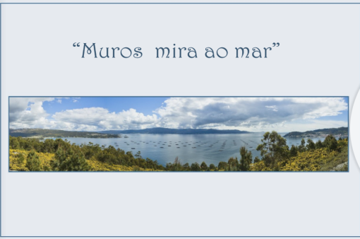 Miniatura recurso